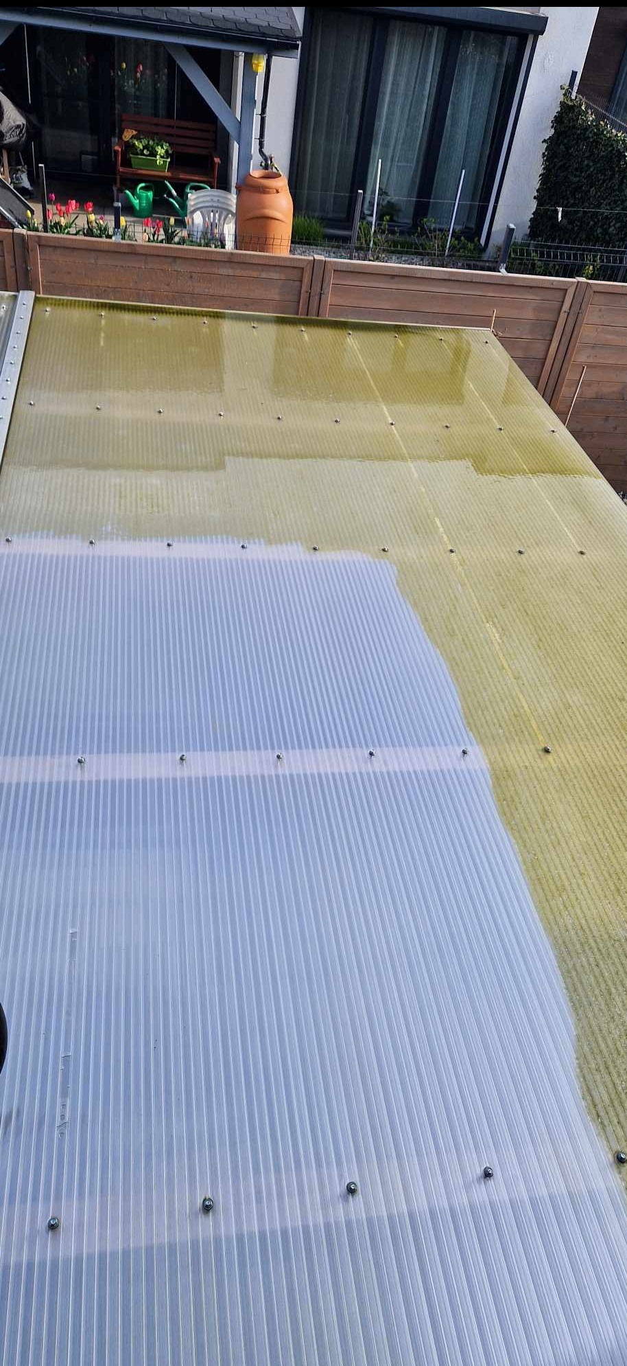 Częściowo umyty, przezroczysty dach z tworzywa sztucznego. Widoczna różnica w czystości powierzchni. W tle ogród i elementy architektury.