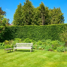 Pielęgnacja ogrodów Boczów 4