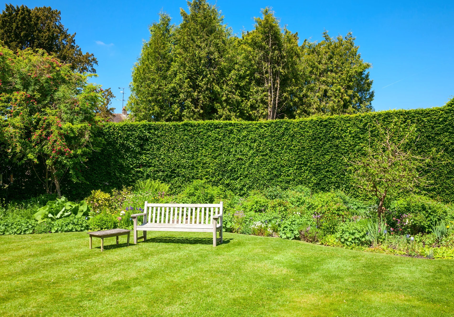 Zadbany ogród z równo przystrzyżonym żywopłotem, zielonym trawnikiem, drewnianą ławką i stolikiem. W tle wysokie drzewa i błękitne niebo.
