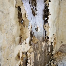 Complex - Ściana z odpadającym starym tynkiem i resztkami tapety w rogu pokoju. Widoczne warstwy podłoża, przygotowanie do prac remontowych.