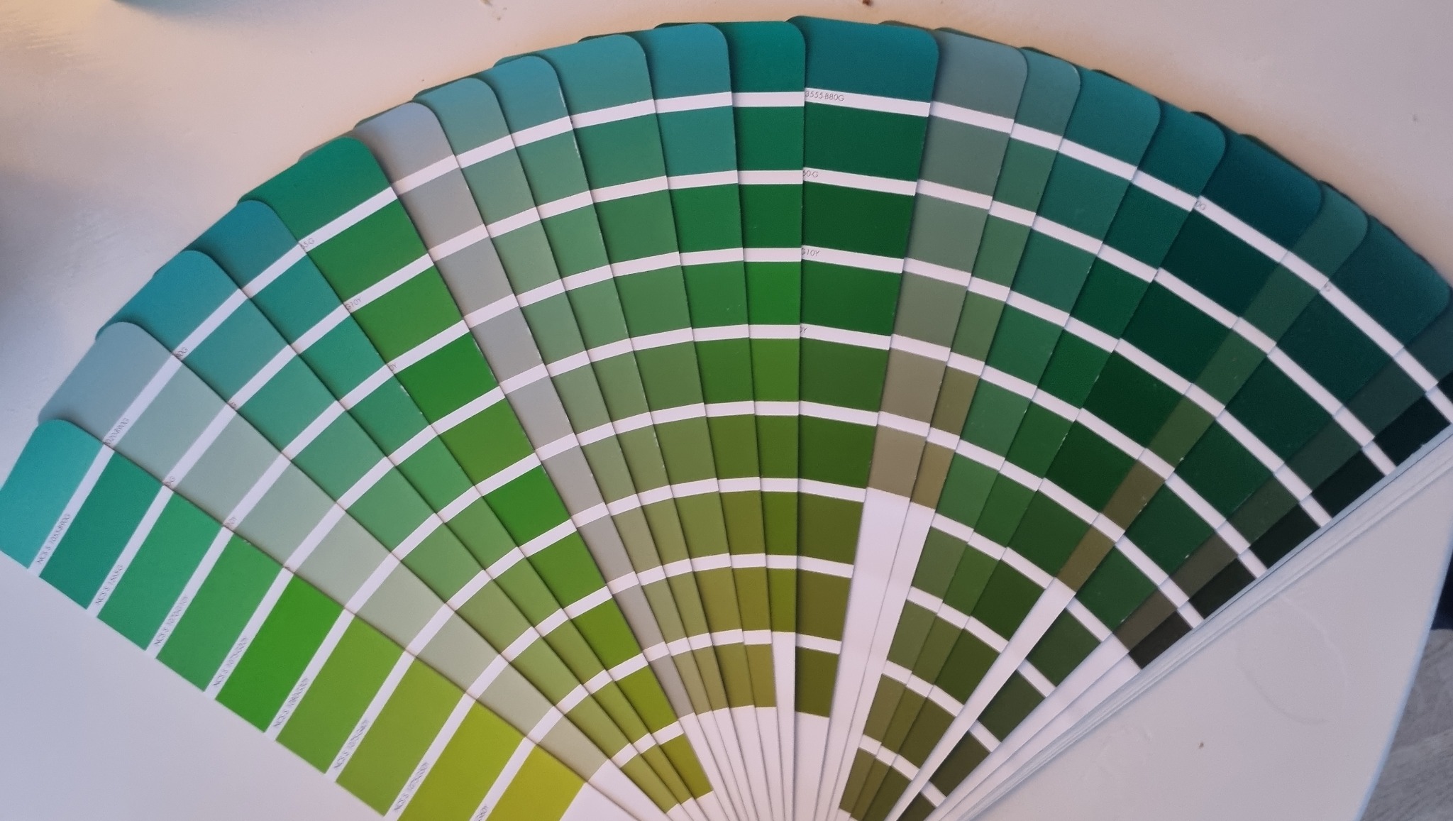 Paleta odcieni zieleni, wachlarz z próbkami farb ułożony na białym tle. Prezentacja kolorów, od jasnych pasteli po głębokie, ciemne zielenie.