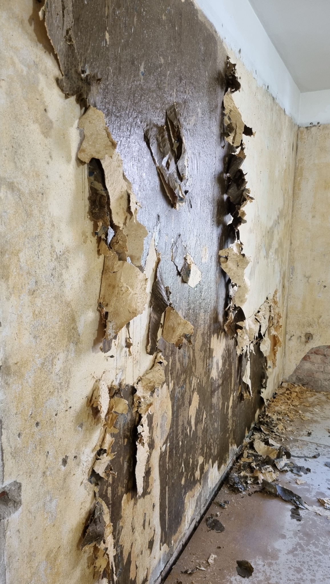 Ściana z odpadającym starym tynkiem i resztkami tapety w rogu pokoju. Widoczne warstwy podłoża, przygotowanie do prac remontowych.