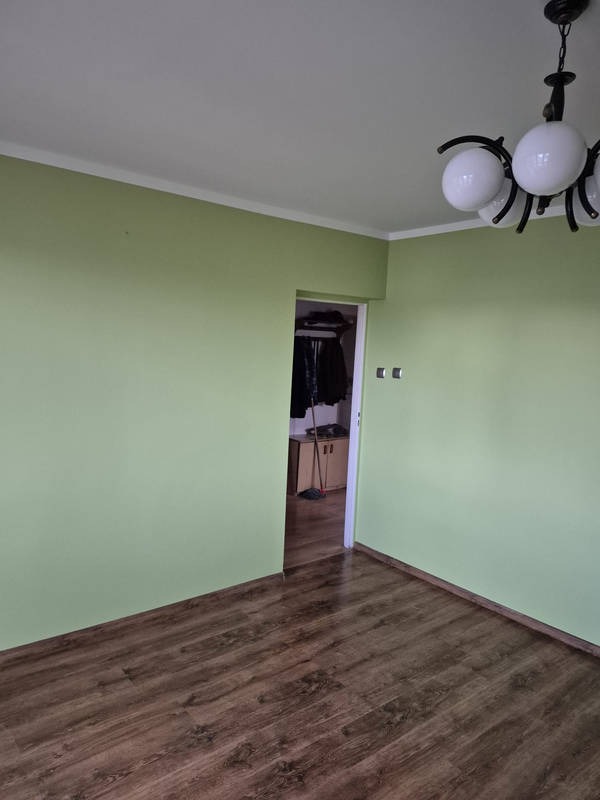 Wnętrze pokoju z panelami podłogowymi i ścianami w odcieniach zieleni, widoczne drzwi do innego pomieszczenia i lampa sufitowa. Jasne wykończenie.