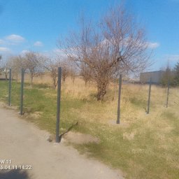 Bastion Systemy Ogrodzeniowe - Łukasz Janiak - Słupki ogrodzeniowe w Gorzowie Wielkopolskim, ustawione wzdłuż polnej drogi. Widoczne drzewa i trawa. Słupki w kolorze grafitowym, równomiernie rozmieszczone.