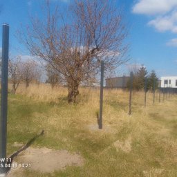 Bastion Systemy Ogrodzeniowe - Siatka ogrodzeniowa Gorz&oacute;w Wielkopolski