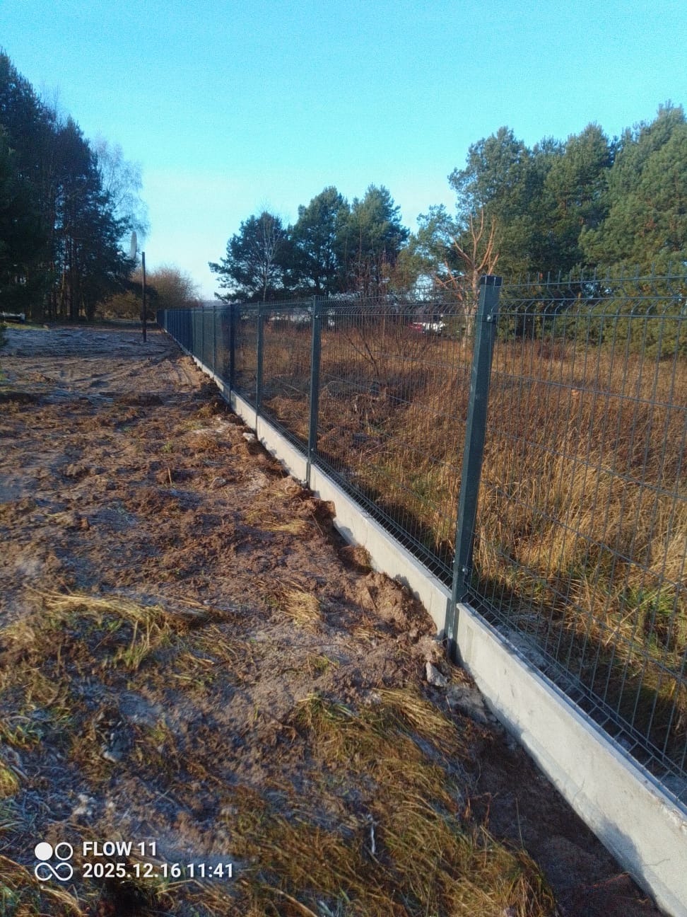 Długa, zielona siatka ogrodzeniowa na betonowej podmurówce, oddzielająca posesję od zarośli. Widok z dołu, w tle drzewa i błękitne niebo.