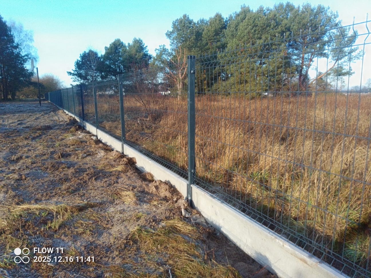 Długi, panelowy płot z podmurówką betonową, rozciągający się wzdłuż działki z wysoką trawą i drzewami w tle, widziany z niskiej perspektywy.