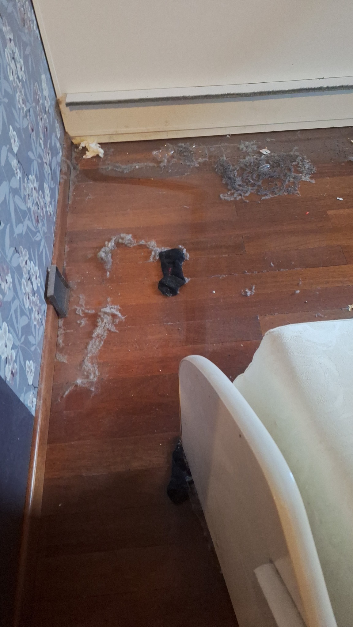Brudna podłoga z parkietu z kurzem, włosami i skarpetką. Widoczny fragment ściany z tapetą w kwiaty i fragment krzesła. Potrzeba gruntownego sprzątania.