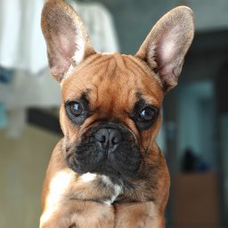 Manek Meble Kacper Manuszewski - Szafy Do Zabudowy Tczew