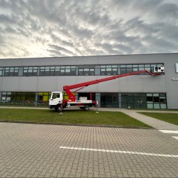 Paweł Paluch - Pierwszorzędne Ścinanie Drzew Stalowa Wola