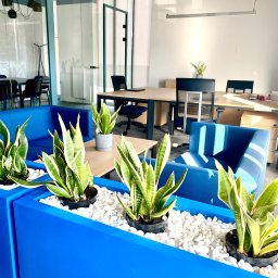 Leasing maszyn i urządzeń Zalasewo 1