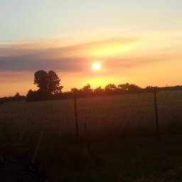 Pielęgnacja ogrodów Zielona Góra 1