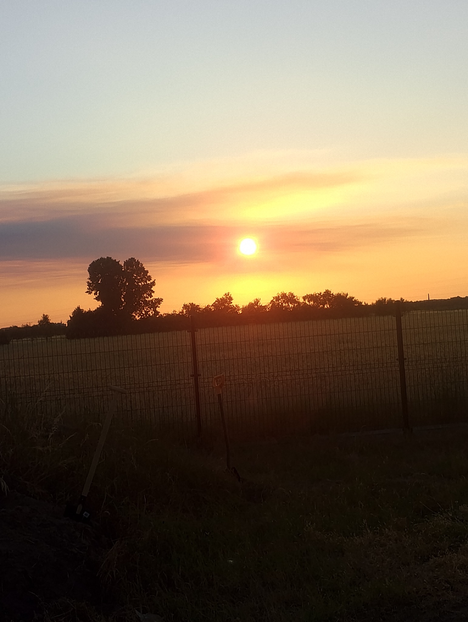 Zachód słońca nad polem, widoczny przez metalowe ogrodzenie. Na pierwszym planie narzędzia ogrodnicze wbite w ziemię. Zastosowane ciepłe barwy i miękkie światło.