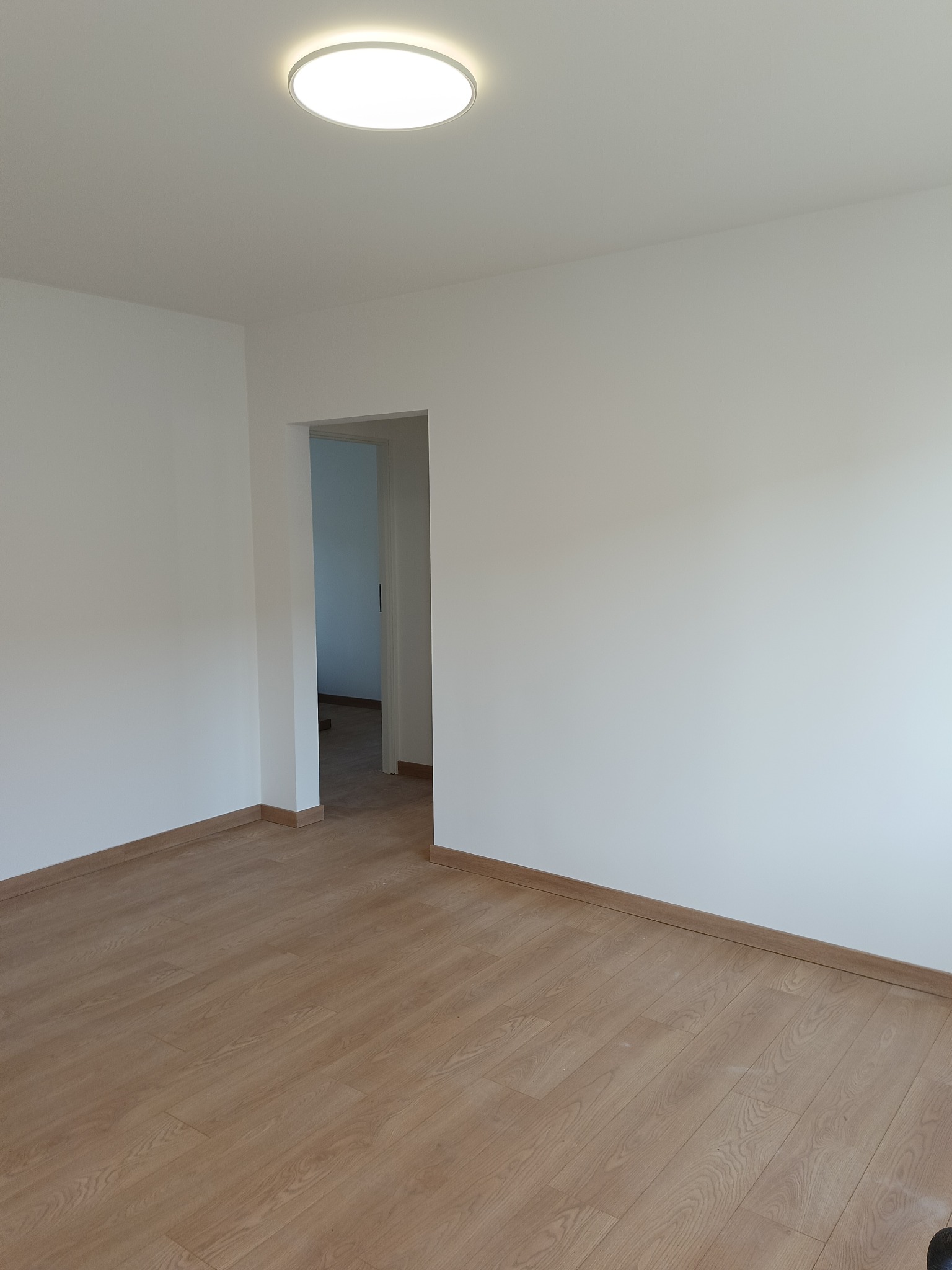 Pusta przestrzeń z jasnymi ścianami, parkietem i listwami przypodłogowymi. Widoczne drzwi do kolejnego pomieszczenia. Oświetlenie sufitowe w centrum kadru.