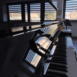 JPMat Blinds Factory JOANNA MATOGA - roleta dzień noc w kasecie przyszybowej z prowadnicami, realizacja w szkole muzycznej