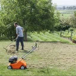 Wykonuję usługi koszenia trawy, działek, zarośli, nieużytków, sadów, ogrodów, terenu wokół firm, terenu wokół sklepów, terenu farm fotowoltaicznych itp. Koszenie profesjonalną kosą spalinową. Koszenie żyłką, nożem i piłą tarczową. Szybki termin realizacji.