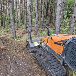 BY2GREEN KAMIL SOBIERAJ - Wyjątkowe Sadzenie Drzew w Jędrzejowie