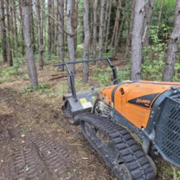 Pomarańczowa frezarka RoboFifti w lesie, widoczne ślady na ściółce po pracy, drzewa w tle. Maszyna gąsienicowa w trakcie pracy.