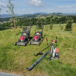 Wycinka drzew Nowy Sącz 4