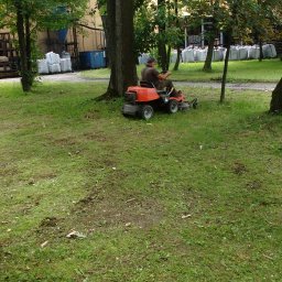 Wycinka drzew Nowy Sącz 2