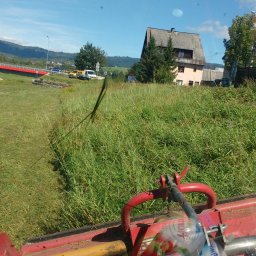 Wycinka drzew Nowy Sącz 1