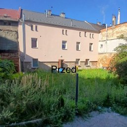 Wiking-Bruki Miłosz Prościak - Zarośnięty teren przed budynkiem z odsłoniętymi fundamentami i widocznymi śladami wilgoci. Zdjęcie w słoneczny dzień, z perspektywy lekko z dołu. Widoczny napis 'Przed'.