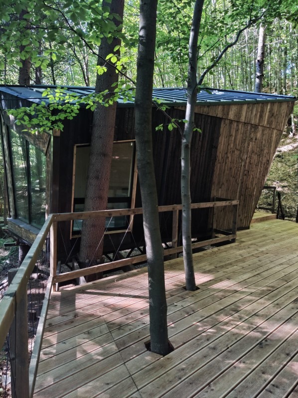Nowoczesny, drewniany domek na drzewie z tarasem, gdzie drzewa przechodzą przez deski. Szklana ściana i unikalna architektura w leśnym otoczeniu.
