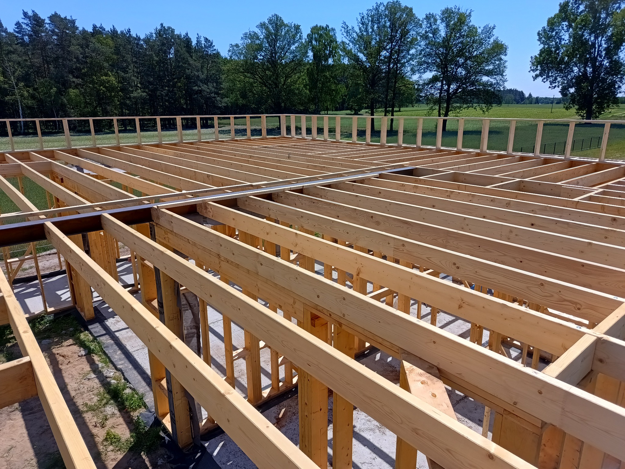 Konstrukcja szkieletowa domu w trakcie budowy, widok z góry na drewniane belki i słupy, zielone tło z drzewami i łąką, błękitne niebo.