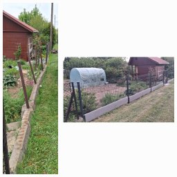 ARKOP - Ogrodnik Dębica