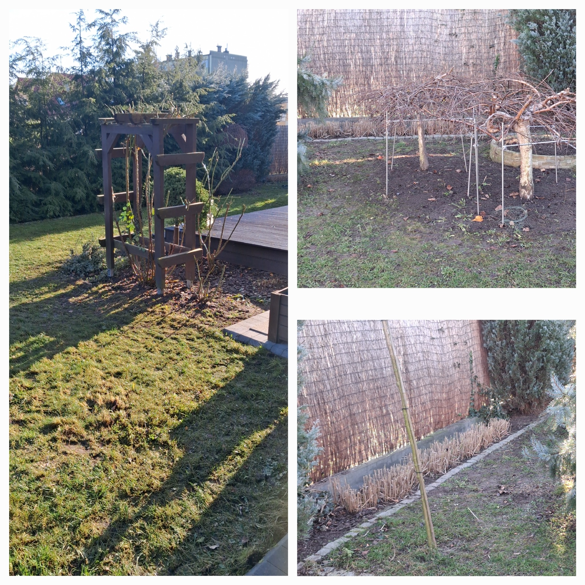 Kompozycja trzech ujęć ogrodu: drewniana pergola, podpora pod drzewa i przycięte krzewy wzdłuż bambusowego ogrodzenia. Zima, trawa częściowo uschnięta.