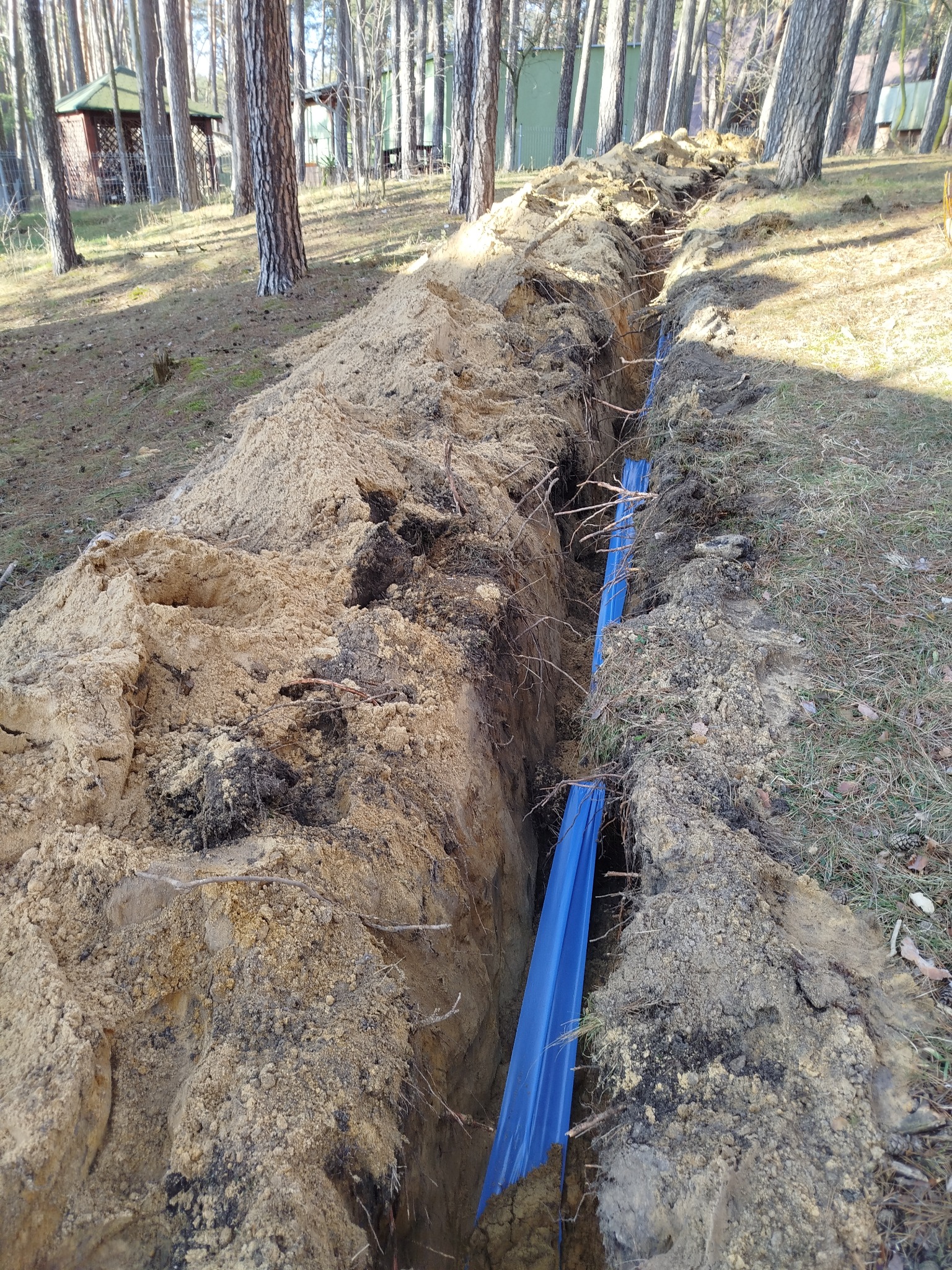 Wykop z niebieską rurą w ziemi, teren leśny. Prace ziemne pod instalacje w Oławie. Wykopana ziemia usypana po bokach wykopu.