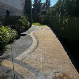 Ścieżka z kostki brukowej o falującym wzorze, świeżo umyta, z widocznym wężem ogrodowym i zielonymi tujami po bokach.