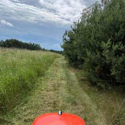 Michał - Świeżo skoszona trawa wzdłuż ścieżki, widok z perspektywy operatora traktorka. Z prawej drzewa iglaste, z lewej wysoka trawa, pochmurne niebo.