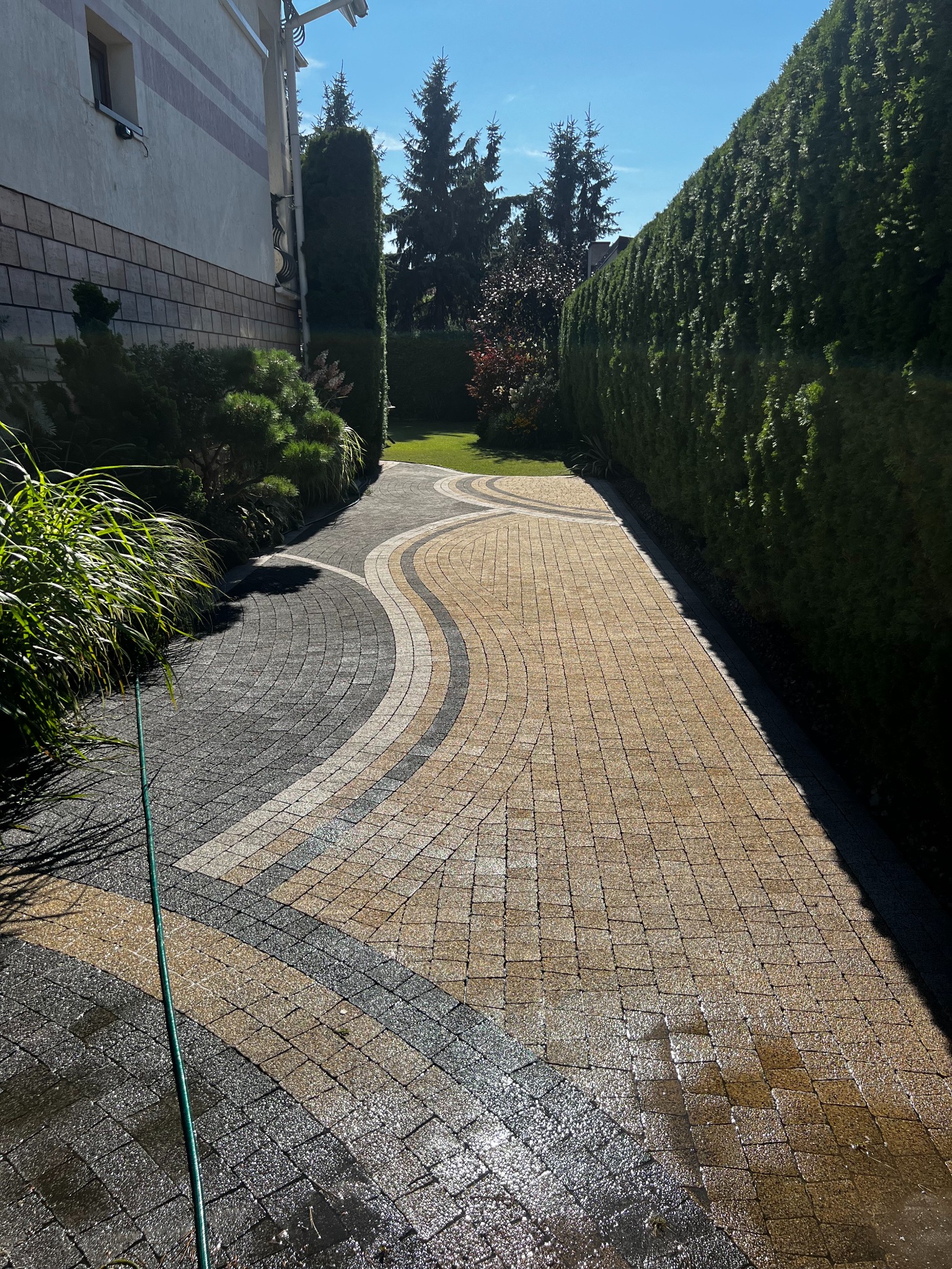 Ścieżka z kostki brukowej o falującym wzorze, świeżo umyta, z widocznym wężem ogrodowym i zielonymi tujami po bokach.