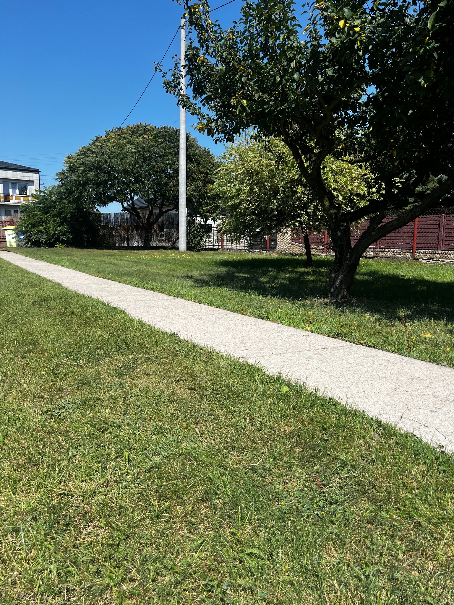 Betonowy chodnik prowadzi przez trawnik w kierunku domu. W tle drzewa i ogrodzenie z siatki.