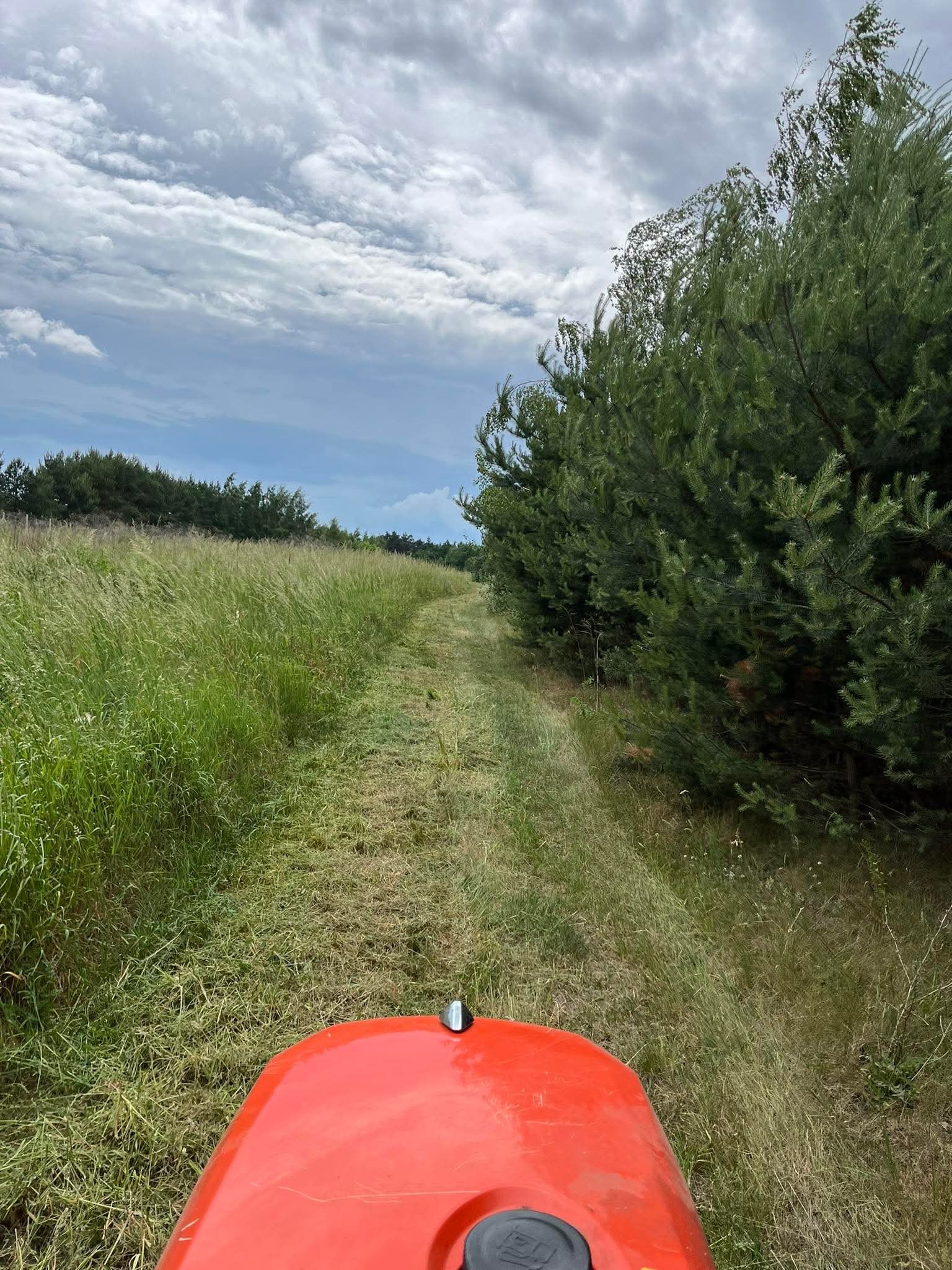 Świeżo skoszona trawa wzdłuż ścieżki, widok z perspektywy operatora traktorka. Z prawej drzewa iglaste, z lewej wysoka trawa, pochmurne niebo.