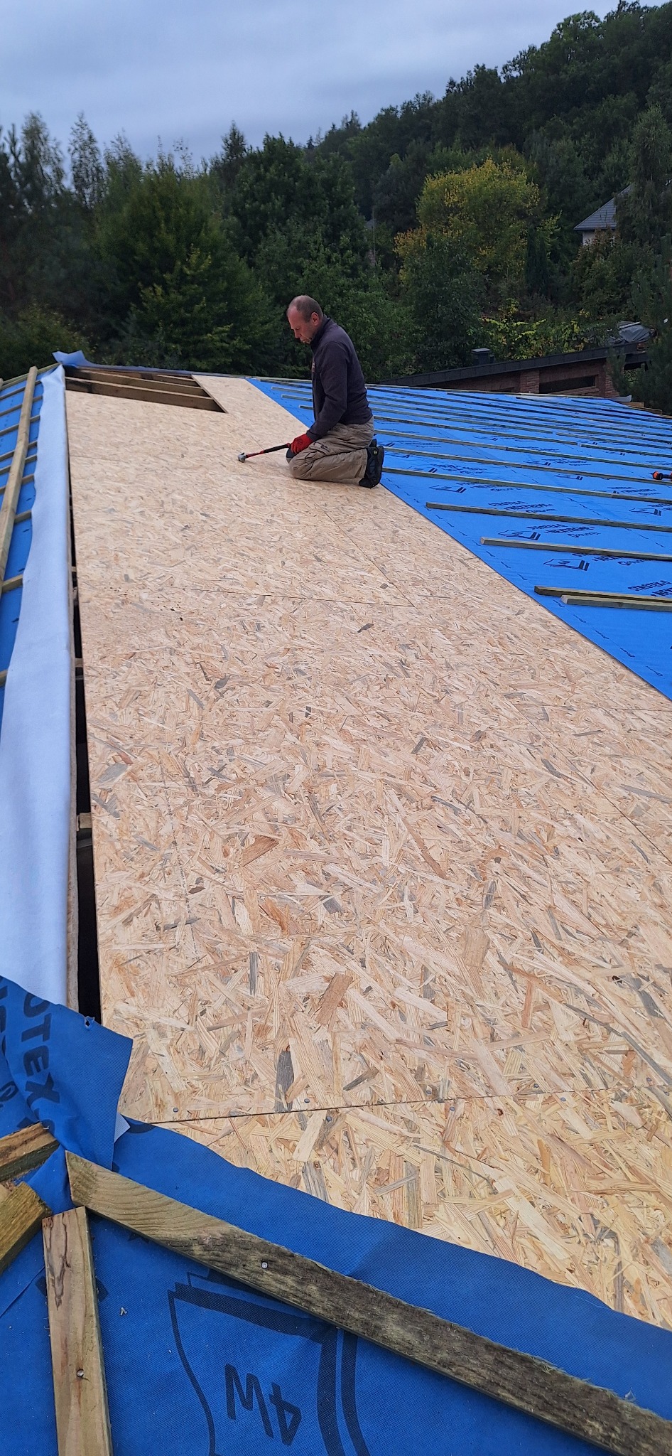 Pracownik na kolanach, z młotkiem, montuje płytę OSB na dachu pokrytym niebieską membraną. Widoczna konstrukcja więźby dachowej i fragment lasu w tle.