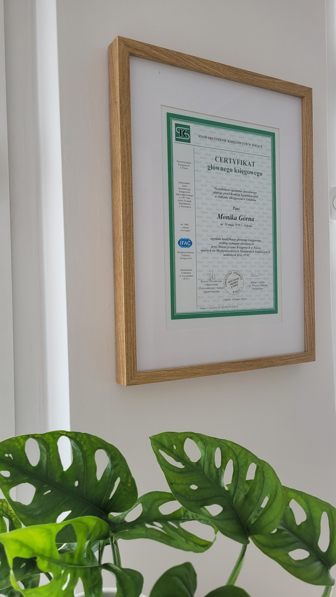 Certyfikat głównego księgowego Pani Moniki Górnej, wydany przez Stowarzyszenie Księgowych w Polsce, oprawiony w ramkę i zawieszony na ścianie, z rośliną w tle.