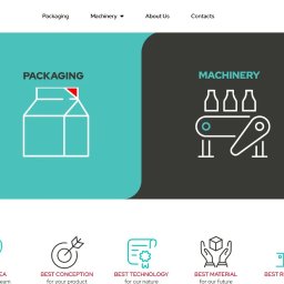 Tworzenie stron internetowych Kaunas 4