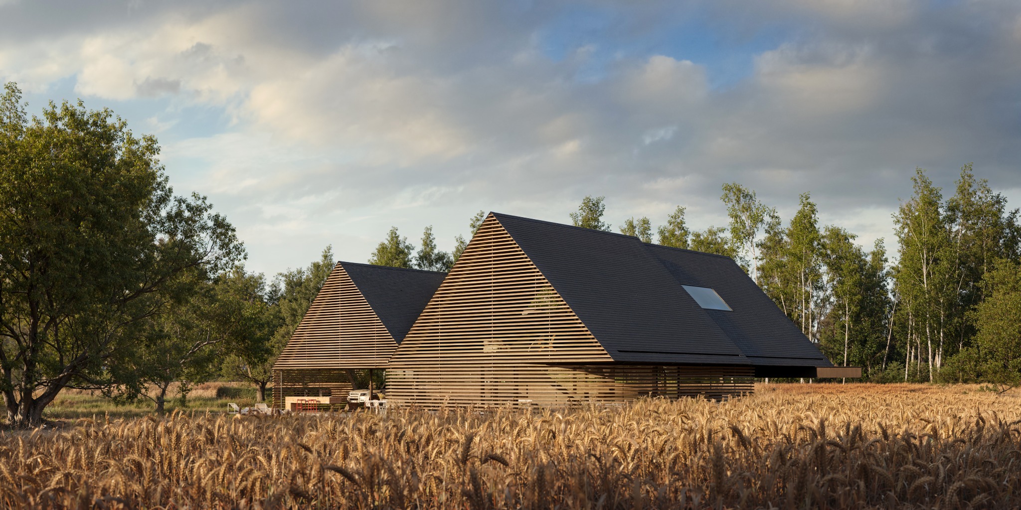Nowoczesny dom z drewnianą elewacją i ciemnym dachem na tle pola zboża. Minimalistyczna architektura, naturalne materiały, okno dachowe.