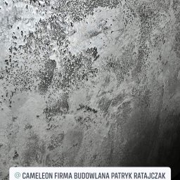 Cameleon firma budowlana Patryk Ratajczak - Szara ściana z dekoracyjną fakturą, imitującą kamień lub beton. Widoczny fragment podłogi i sufitu. Nieregularne wzory tworzą unikalny efekt wizualny.