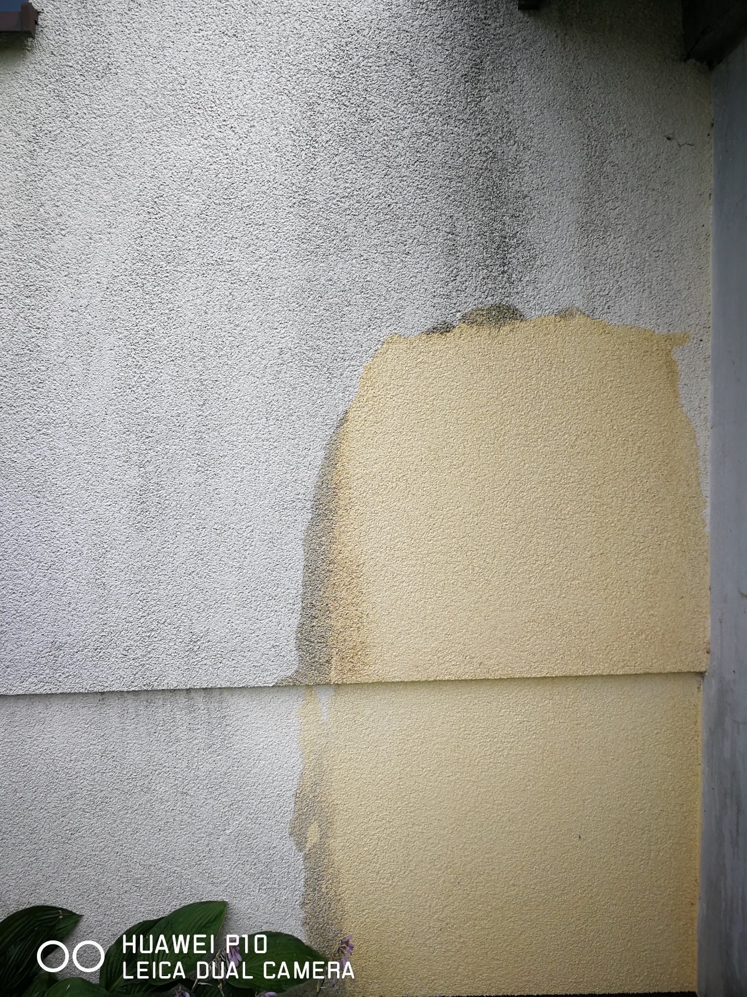 Fragment elewacji budynku z widocznymi śladami zabrudzeń i zacieków, częściowo umyta, ukazująca różnicę w kolorze i czystości powierzchni.