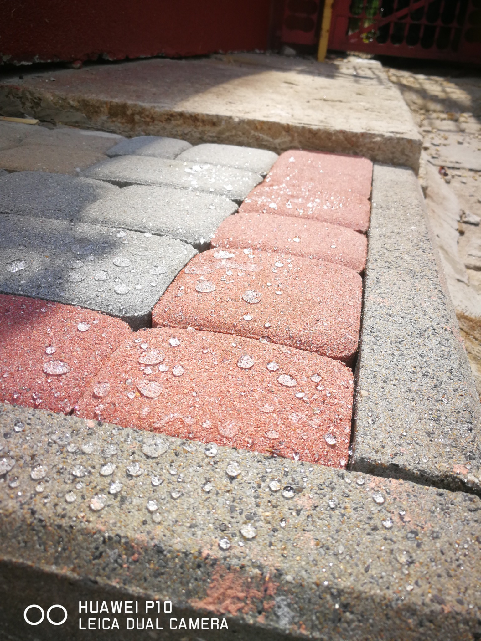 Kostka brukowa w odcieniach szarości i czerwieni, pokryta kroplami wody, po świeżym umyciu. Widoczne detale struktury i krawędzi kostki.