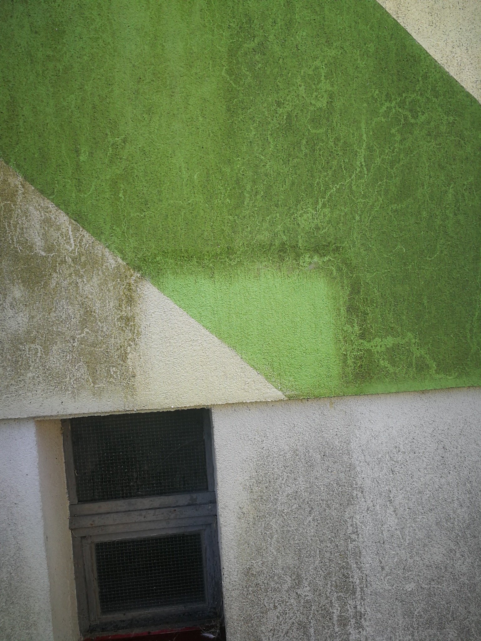 Fragment ściany budynku z oknem w piwnicy. Widoczne zabrudzenia i zielone fragmenty elewacji, zarysowane w geometryczny wzór. Kąt ujęcia podkreśla fakturę tynku.