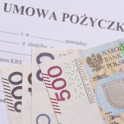 Anna Ciślak - Pożyczka Na Dow&oacute;d Lauda-K&ouml;nigsofen 