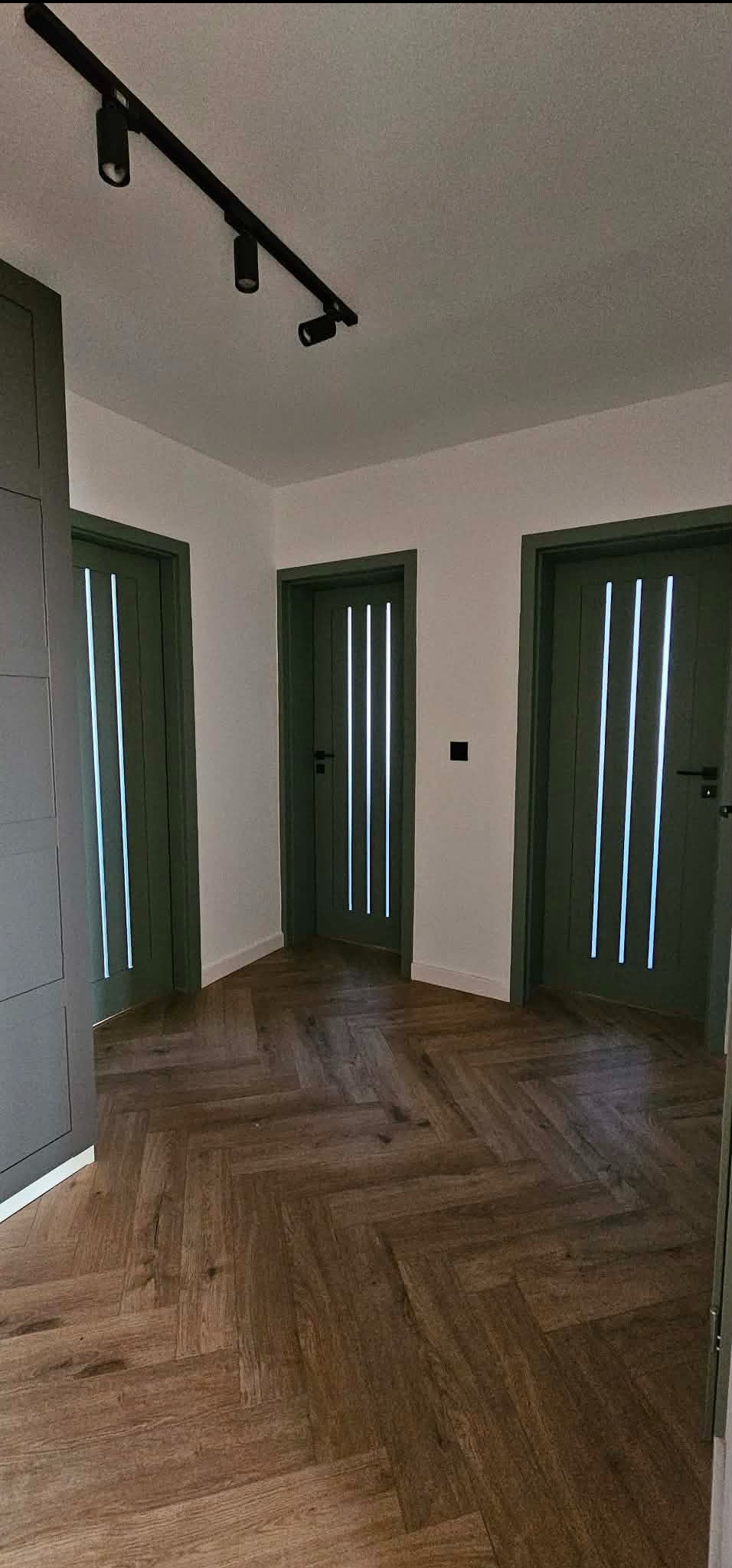 Nowoczesny korytarz z parkietem w jodełkę, oświetleniem szynowym i trzema zielonymi drzwiami z przeszkleniami. Minimalistyczny design.