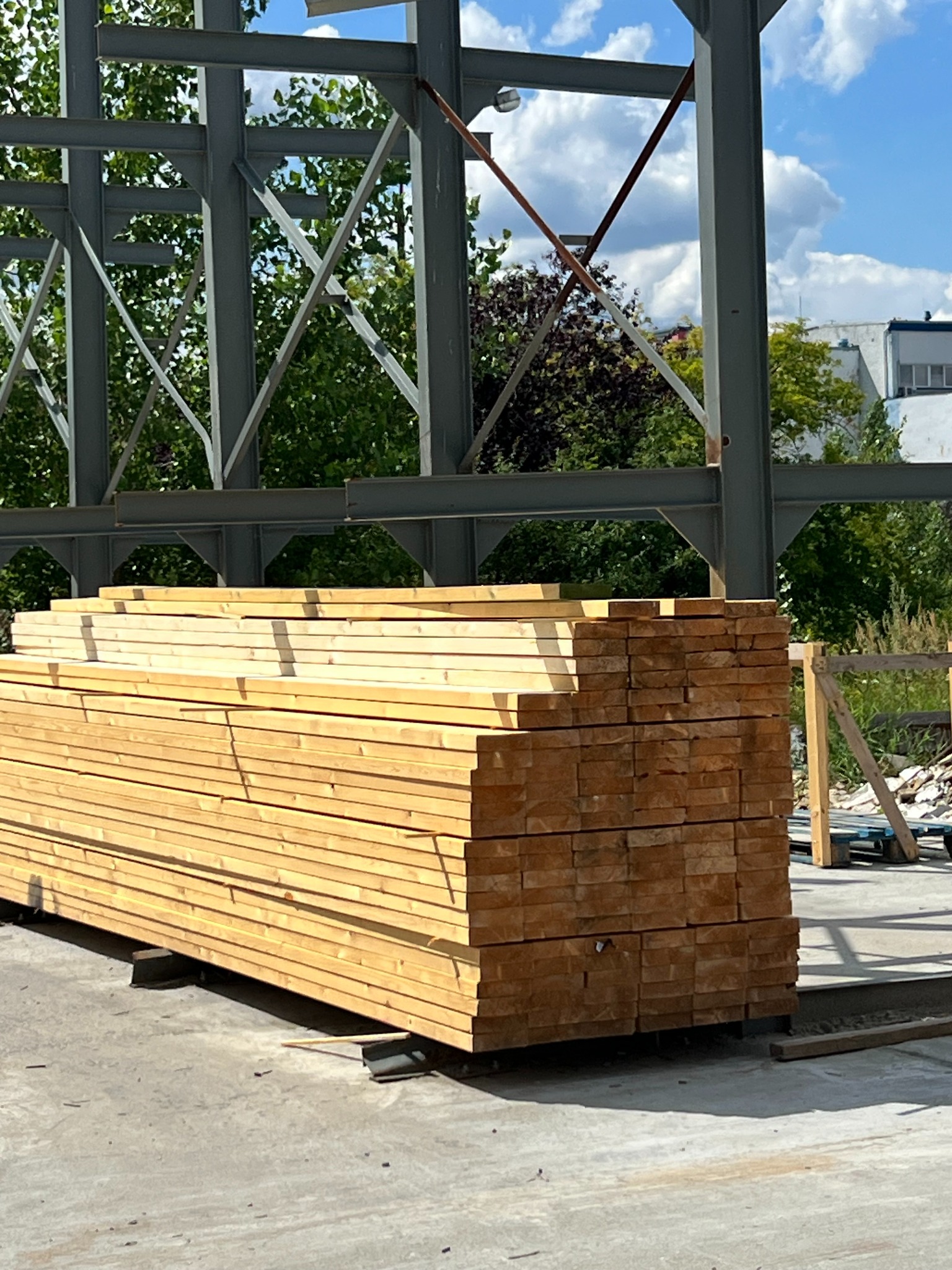 drewno certyfikowane