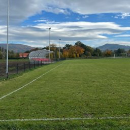 Remox - Sprzedaż Ogrodzeń Dzierżoni&oacute;w