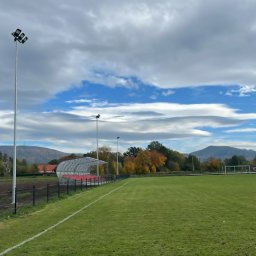 Montaż ogrodzeń Dzierżoniów 1