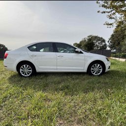 MM CARS Wypożyczalnia samochodów - Biała Skoda Octavia, widok z boku na trawie, felgi aluminiowe, czyste niebo, drzewa w tle. Auto po umyciu, gotowe do wypożyczenia.